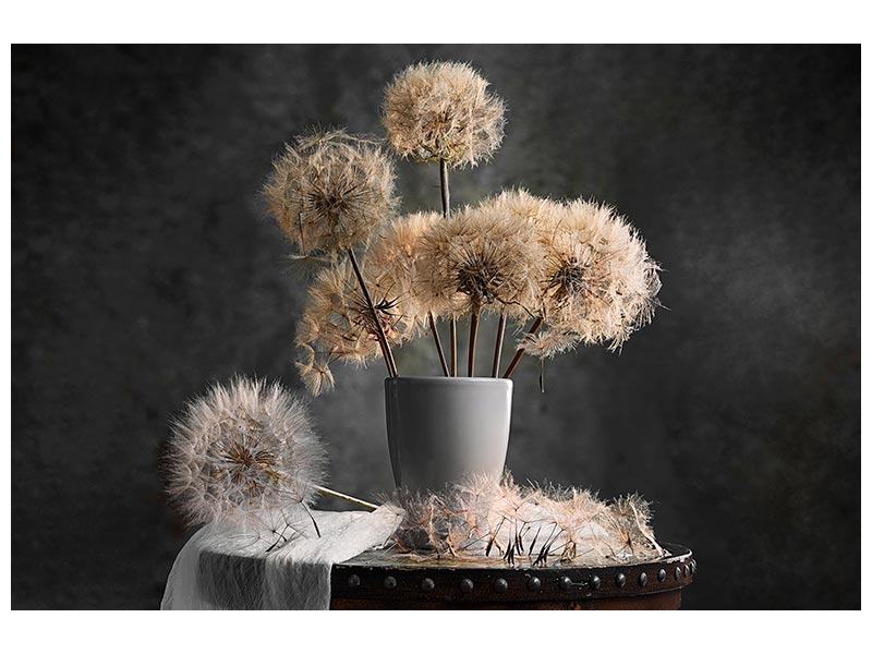 canvas-print-dandelion-seed-pod-x