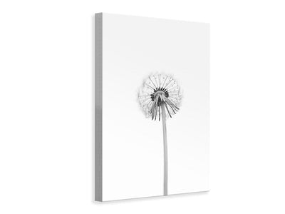 canvas-print-dandelion-xkj