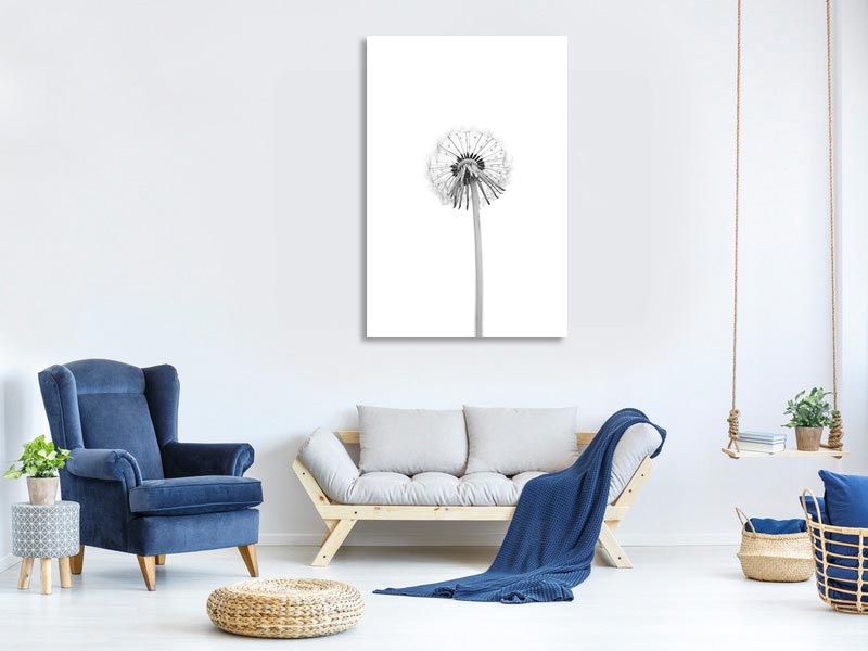 canvas-print-dandelion-xkj