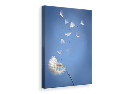 canvas-print-dandelion-xl