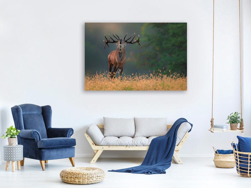 canvas-print-deer-wedding-song-x