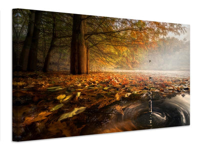 canvas-print-drops-between-the-autumn-colors-x