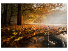 canvas-print-drops-between-the-autumn-colors-x