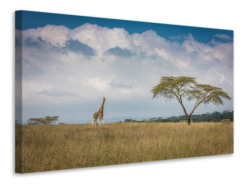 canvas-print-east-africa