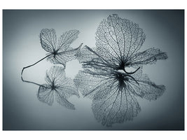 canvas-print-ephemeral-beauty