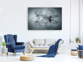 canvas-print-ephemeral-beauty