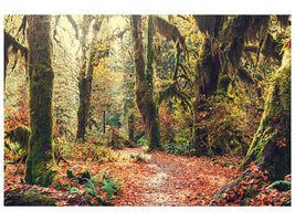 canvas-print-fairies-forest