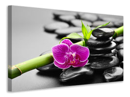 canvas-print-feng-shui-orchid