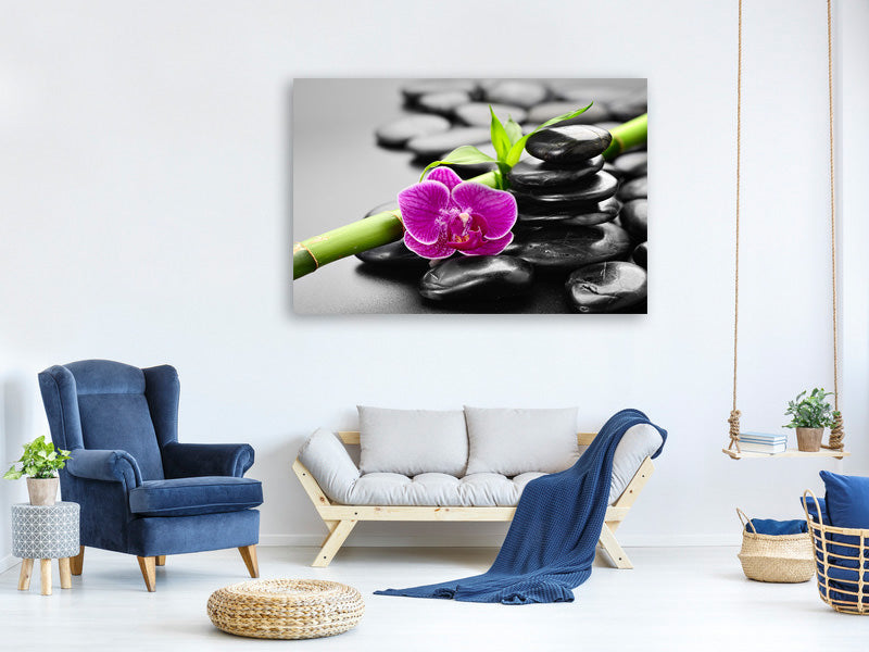 canvas-print-feng-shui-orchid