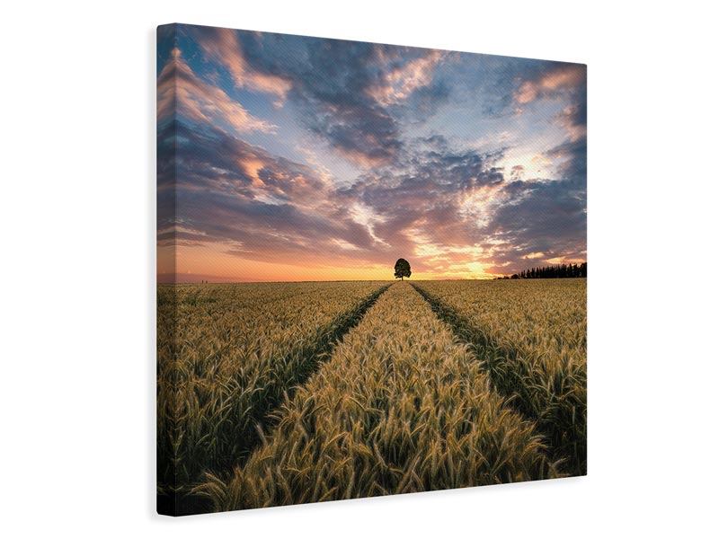 canvas-print-field-of-dreams-x