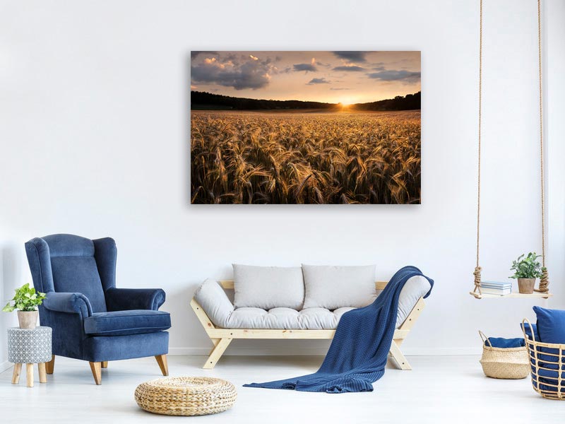 canvas-print-fields-of-gold-x