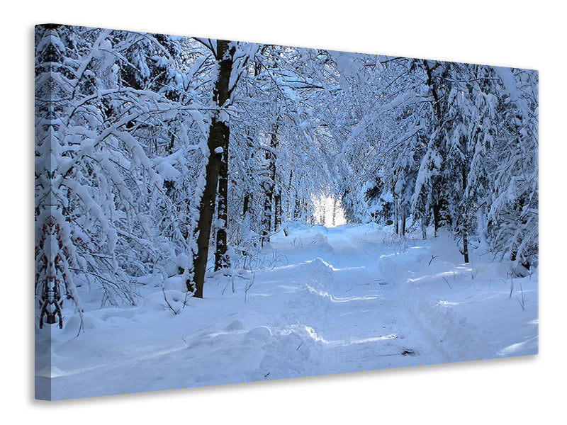 canvas-print-finally-winter