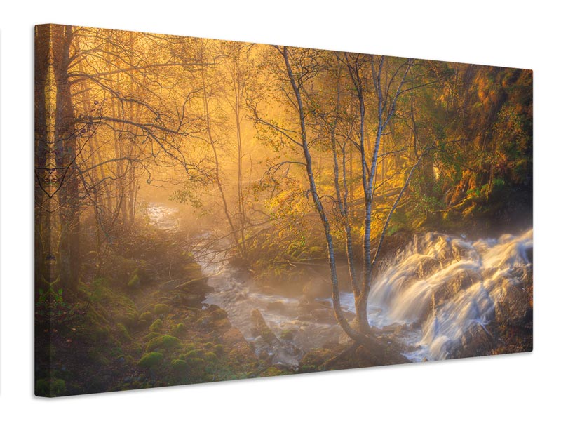 canvas-print-first-light-xah