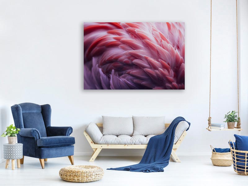 canvas-print-flamingo-xqw