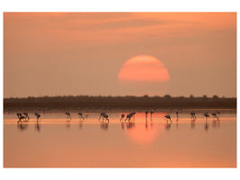 canvas-print-flamingos-at-sunrise-x