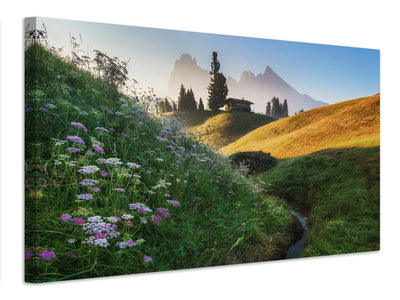 canvas-print-flowery-morning-x