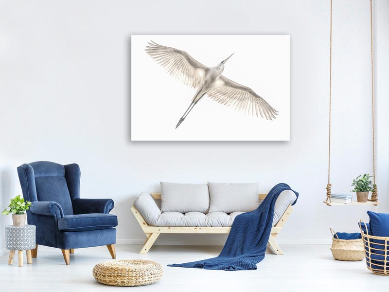 canvas-print-fly-x