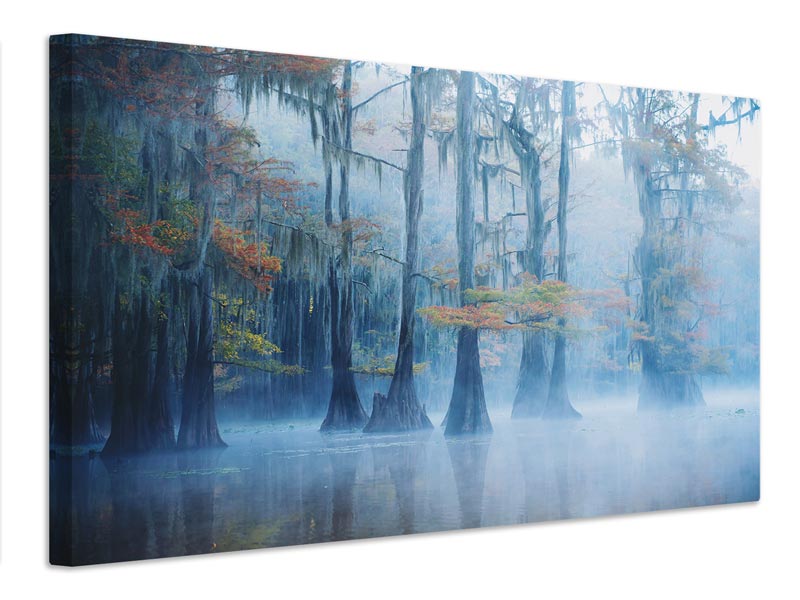 canvas-print-foggy-swamp-morning-x