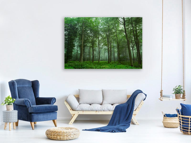 canvas-print-forest-view-x