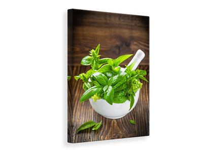 canvas-print-fresh-basil