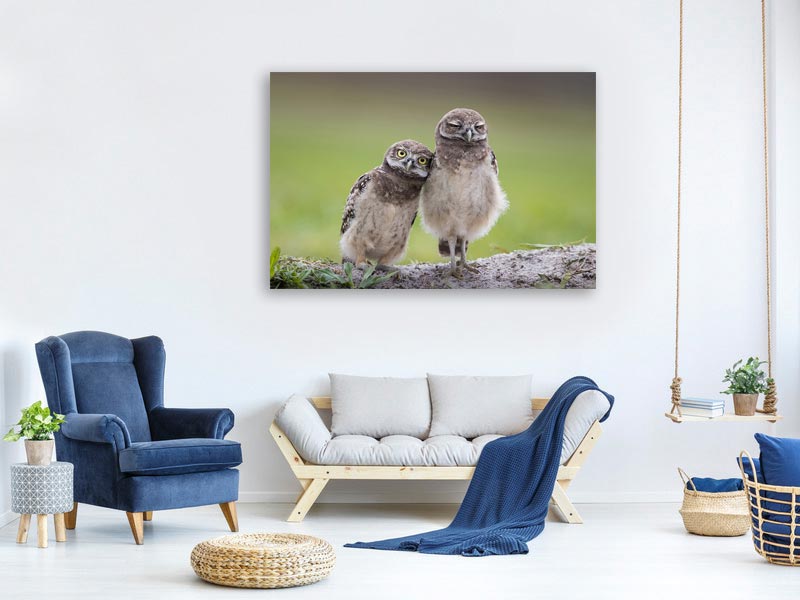 canvas-print-friends-xtd