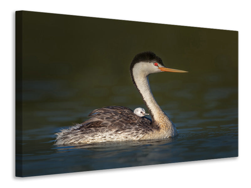 canvas-print-front-seat-view