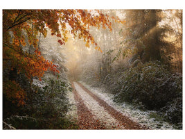 canvas-print-frosty-fall-x