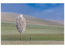 canvas-print-frozen-winter-day-x