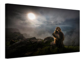 canvas-print-gelada-baboons-x