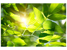 canvas-print-go-green