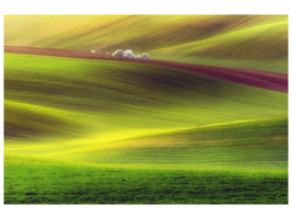 canvas-print-golden-fields-x