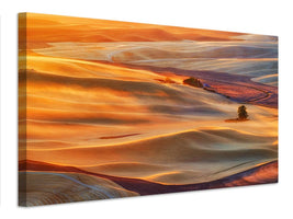 canvas-print-golden-palouse-x