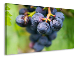 canvas-print-grapes