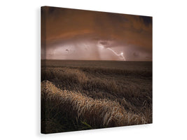 canvas-print-harvest-lights