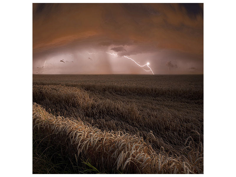 canvas-print-harvest-lights