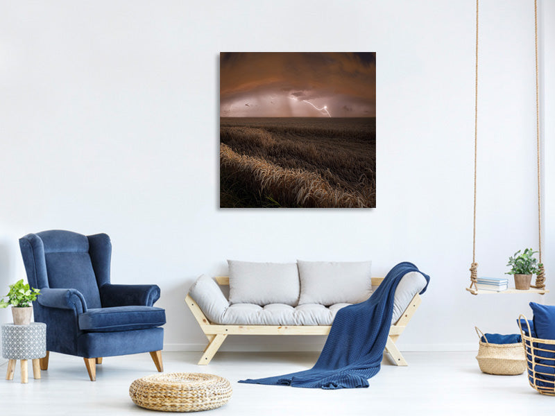 canvas-print-harvest-lights