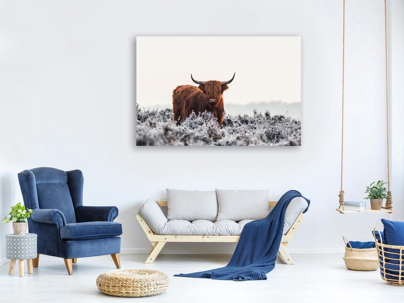 canvas-print-highlander-x