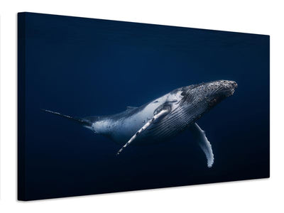 canvas-print-humpback-whale-in-blue-x