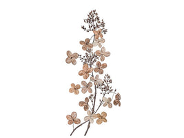 canvas-print-hydrangea-paniculata-x