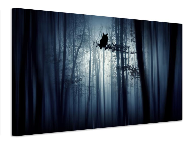 canvas-print-in-the-forest-x