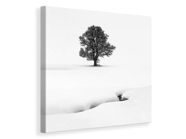 canvas-print-le-solitaire