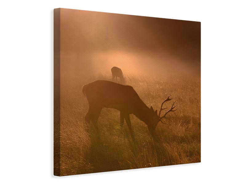 canvas-print-light-means-everything-x