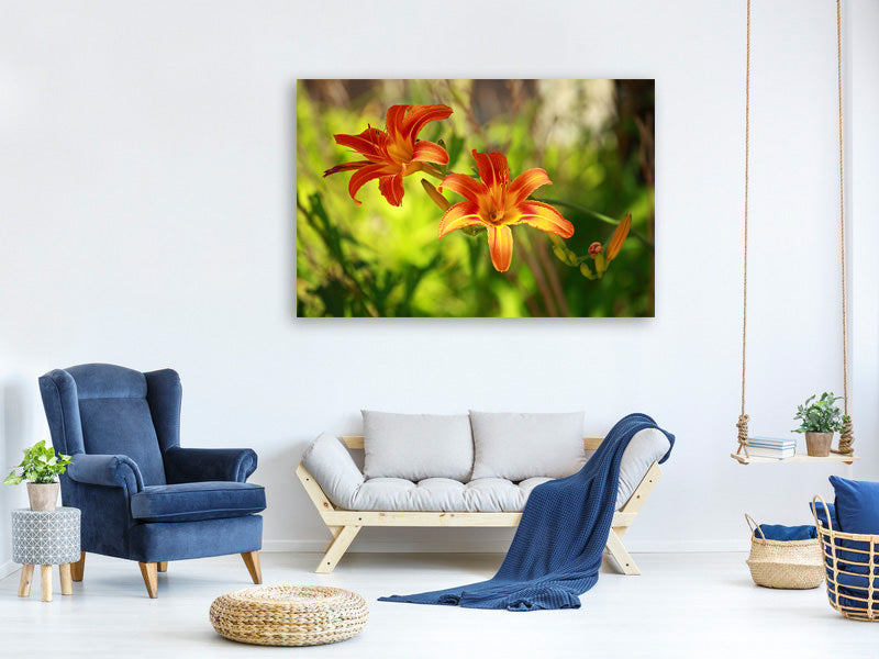 canvas-print-lilies-in-nature