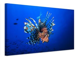 canvas-print-lionfish-x