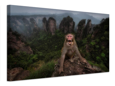 canvas-print-macaco-rhesus-x