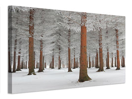 canvas-print-magical-forest-x