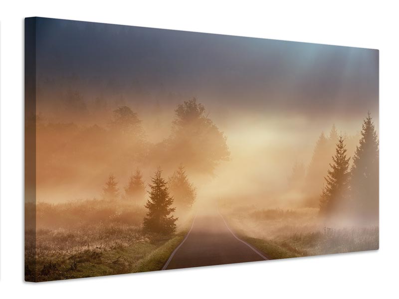 canvas-print-magical-morning-x