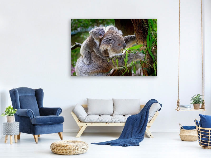 canvas-print-mom-and-baby-koala