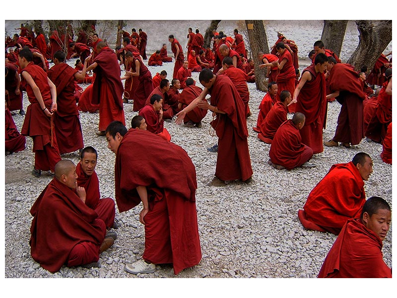 canvas-print-monks-debating-x