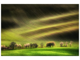 canvas-print-moravian-fields-xhj